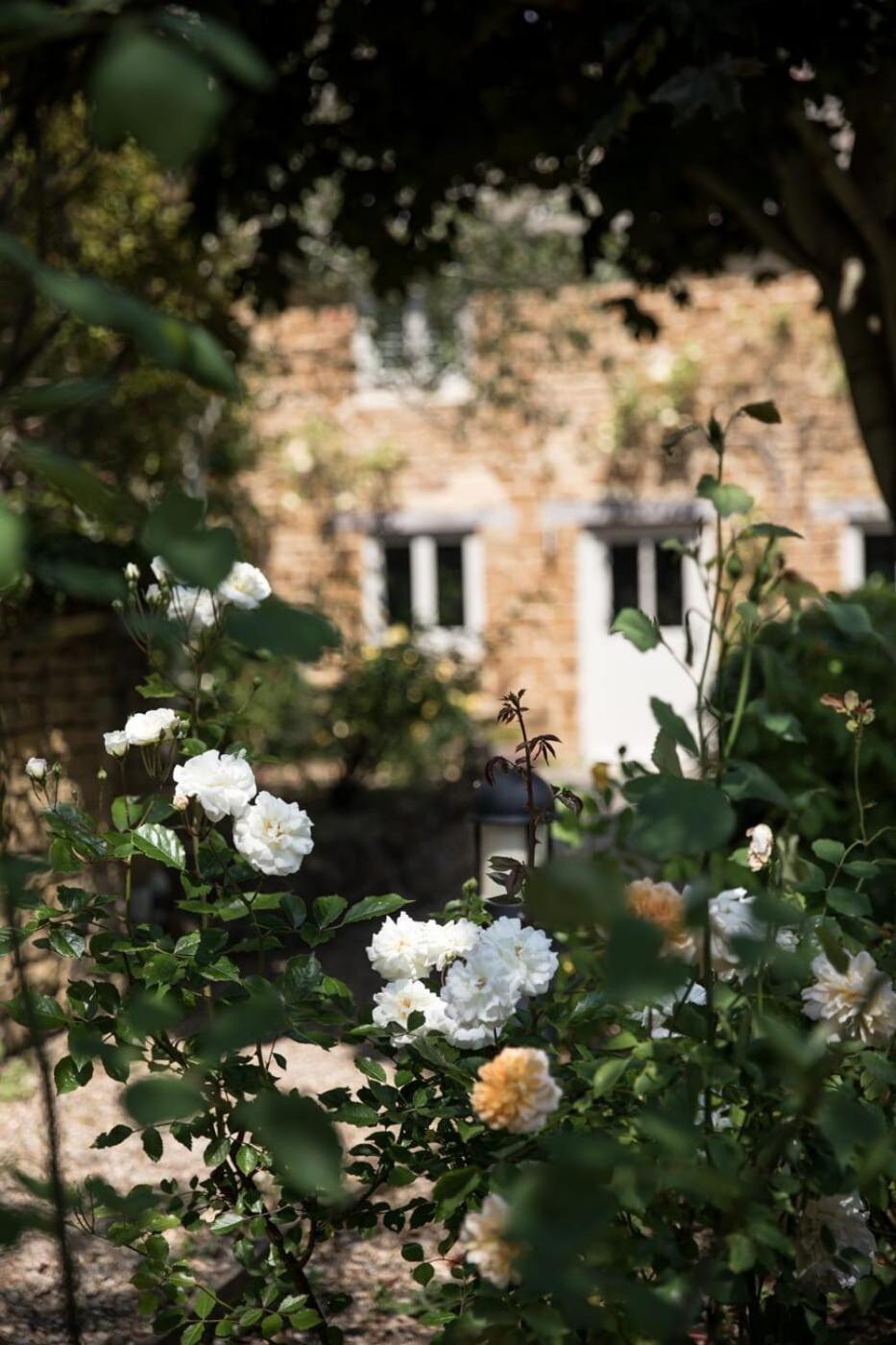 Two Rose Walk Cottage Cotswolds Moreton-in-Marsh Exteriér fotografie